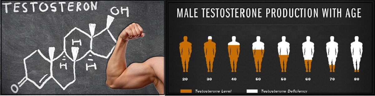 Masturbation helps testoserone